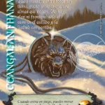 Ceangal an Fhanaigh - Buy a Box